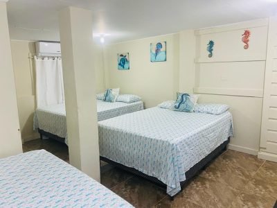 Blue sky Rental18