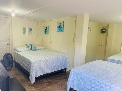 Blue sky Rental19