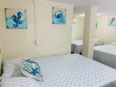 Blue sky Rental20