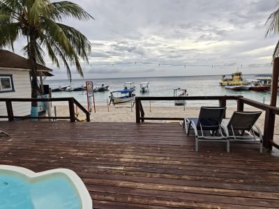 oplus_11534368