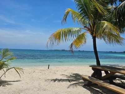 Water Cay8